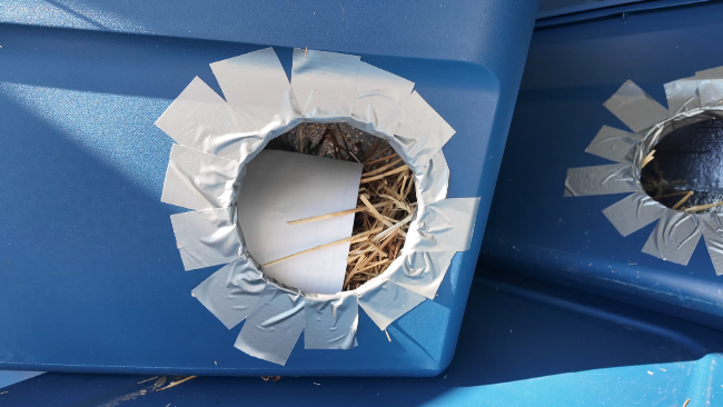 Insulated shelters for feral cats